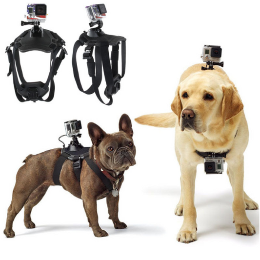 Action Camera Harness for Dogs with Chest and Back Mount Support