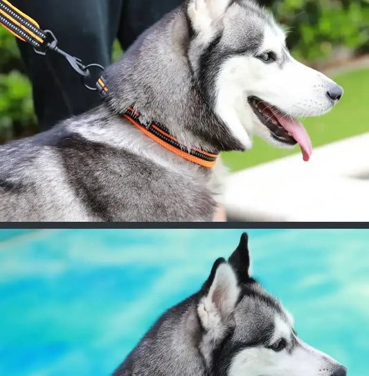 Truelove Reflective Dog Collar – Breathable and Adjustable for Maximum Comfort