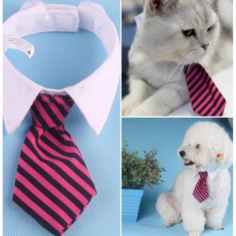 Elegant Pet Collar with Bow Tie for Dogs and Cats