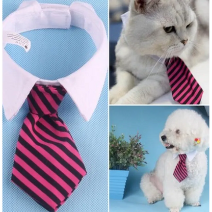 Elegant Pet Collar with Bow Tie for Dogs and Cats