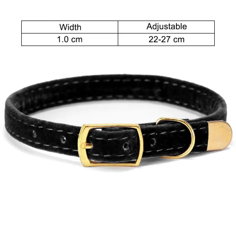 Velvet Cat Collar with Gold Buckle - Adjustable and Stylish