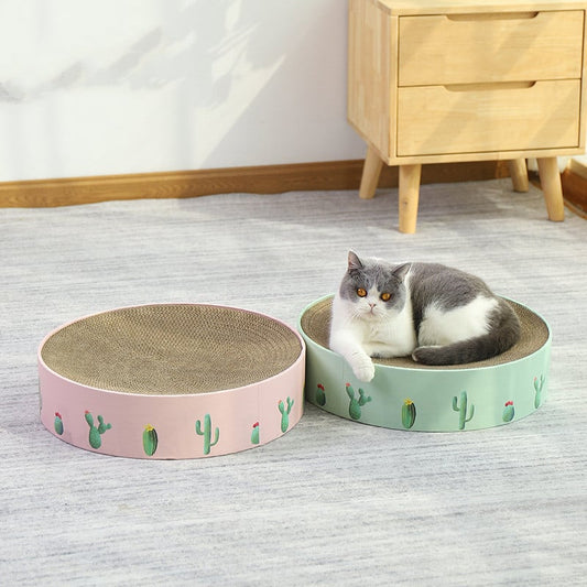 Cardboard Loop for Cats with Cactus Design - Modern Style Scratcher