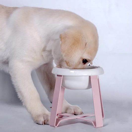 Elevated Dog Bowl – Stylish Bowl with Metal Stand