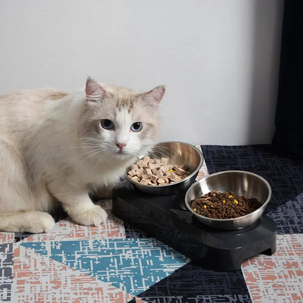 Double Cat Bowl in Stainless Steel with Stand