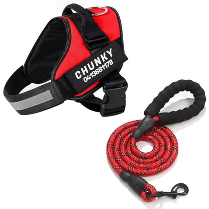 Personalised No-Pull Dog Harness