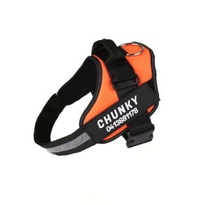Personalised No-Pull Dog Harness