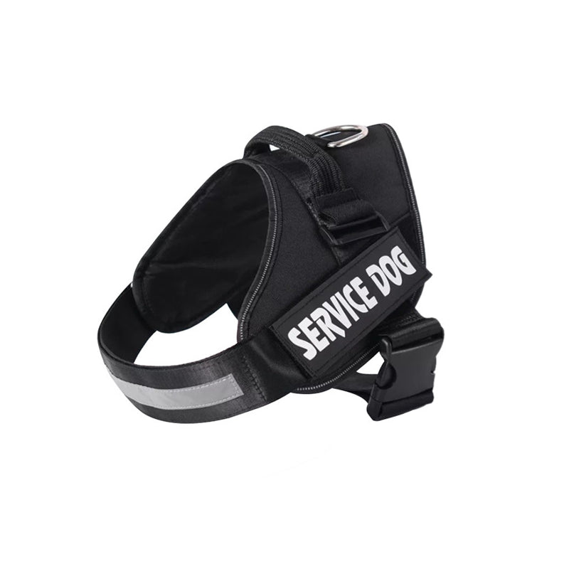 Personalised No-Pull Dog Harness