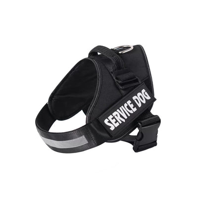 Personalised No-Pull Dog Harness