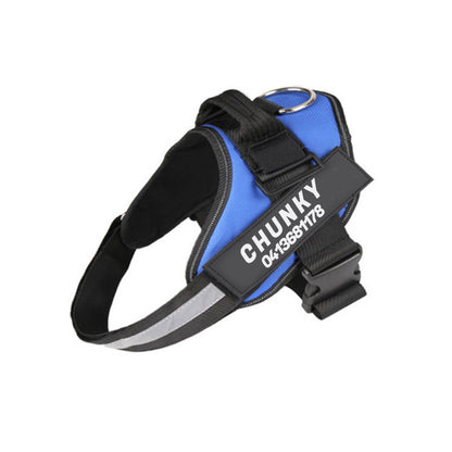Personalised No-Pull Dog Harness