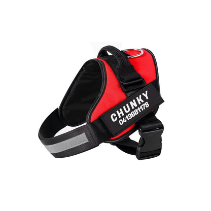 Personalised No-Pull Dog Harness