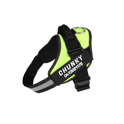 Personalised No-Pull Dog Harness