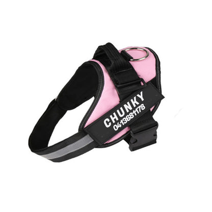 Personalised No-Pull Dog Harness