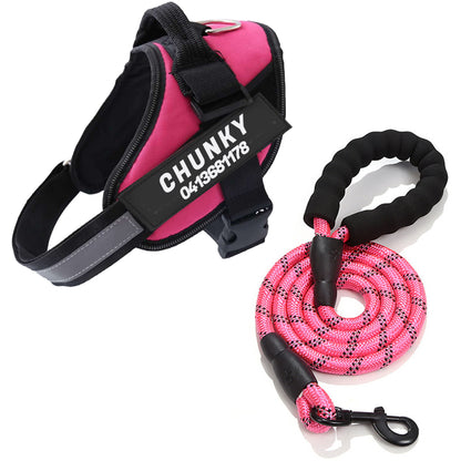 Personalised No-Pull Dog Harness