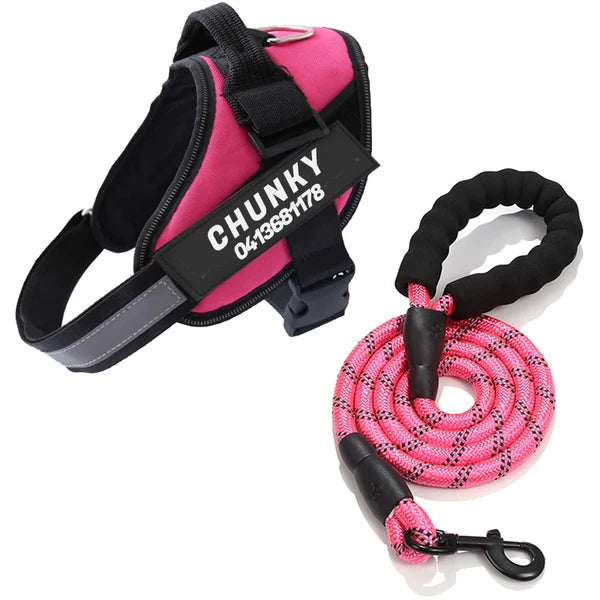 Personalized No-Pull Dog Harness for Easier Walks