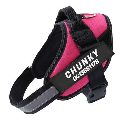 Personalised No-Pull Dog Harness