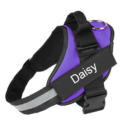 Personalised No-Pull Dog Harness