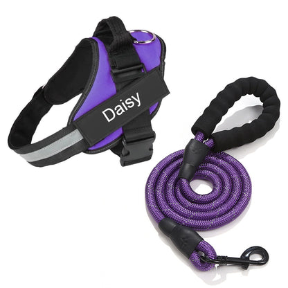 Personalised No-Pull Dog Harness