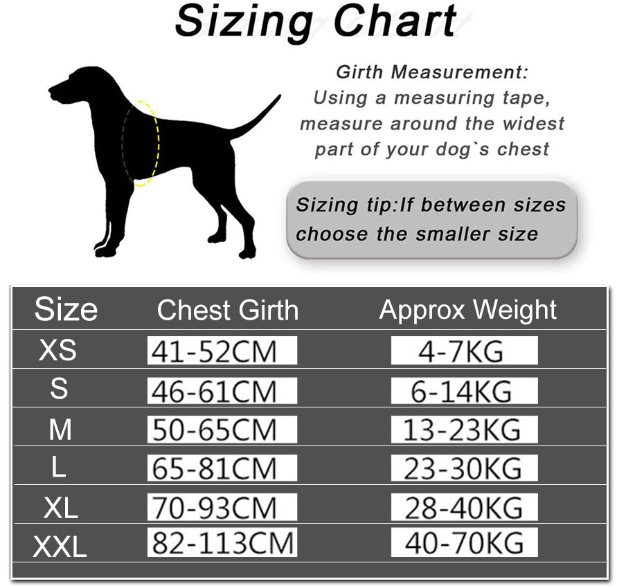 Personalised No-Pull Dog Harness