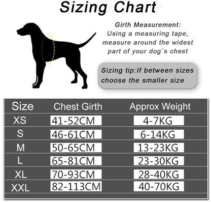Personalised No-Pull Dog Harness