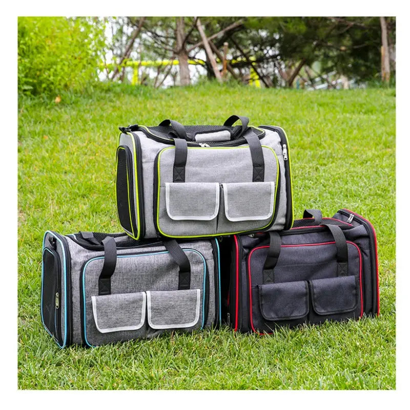 Foldable Pet Carrier