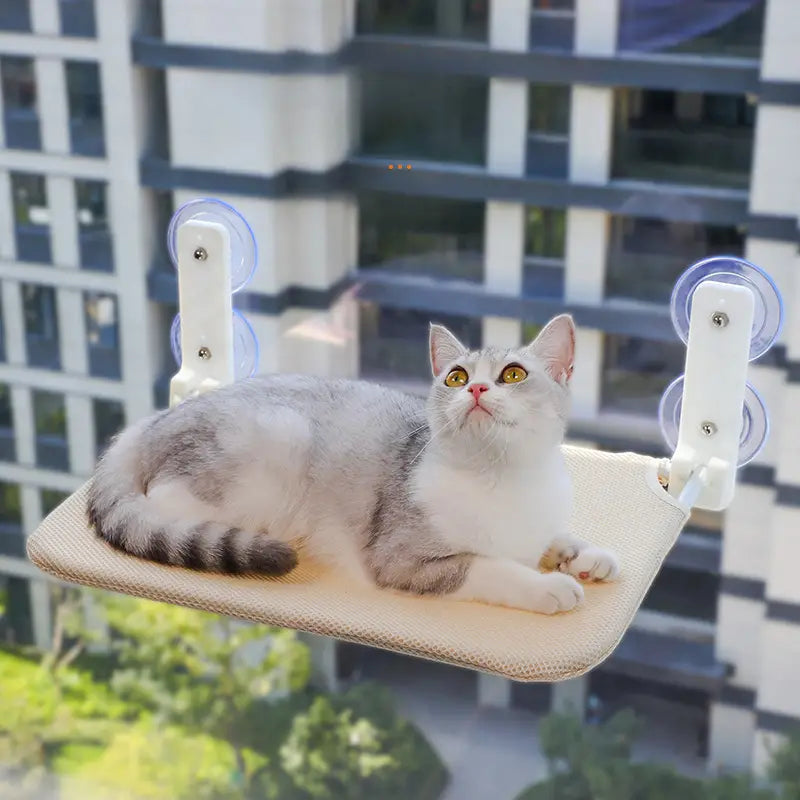 Foldable Suction Cup Hammock for Cats
