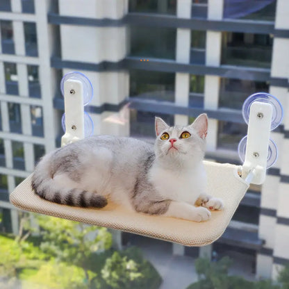Foldable Suction Cup Hammock for Cats
