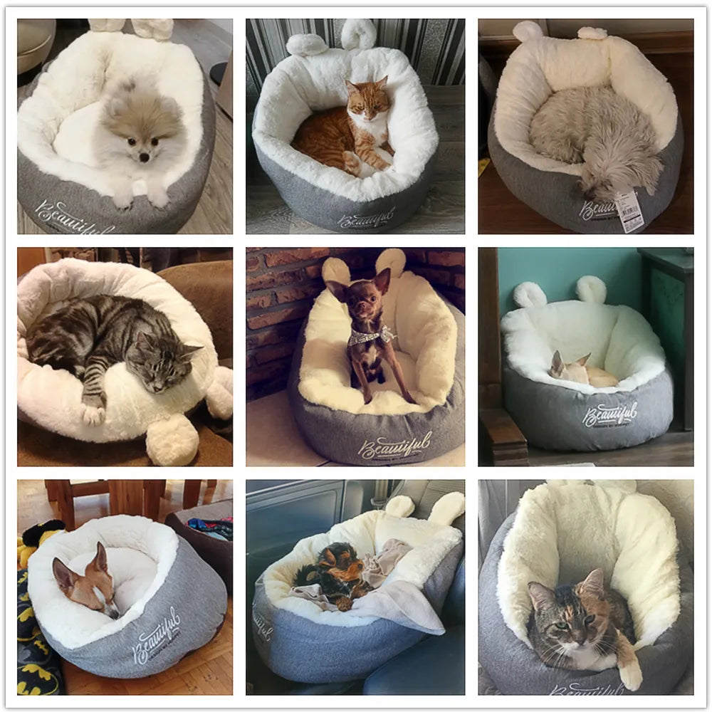 Cozy Cat Bed with Ear Design - Soft and Comfortable for Cats and Small Dogs