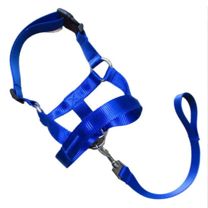 Adjustable Harness with Leash for Small and Medium-Sized Dogs