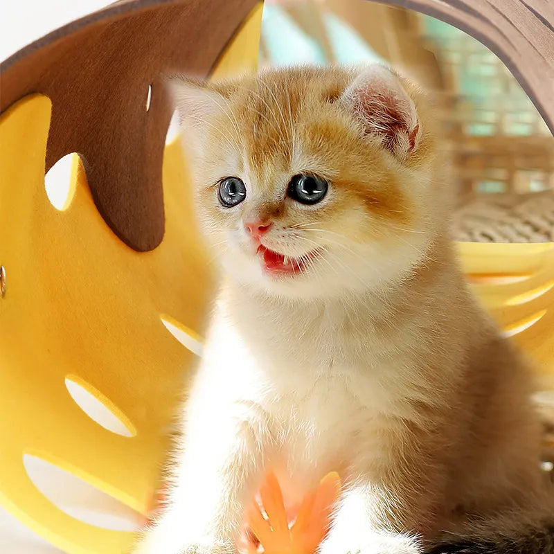 Cat Tunnel with Holes – Flexible Play Tunnel for Cats