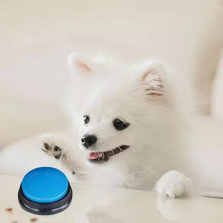 Interactive Pet Talk Button – Training & Communication