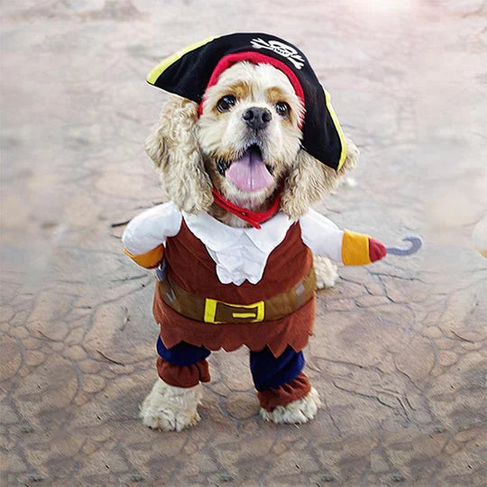 Creative Costumes for Pets