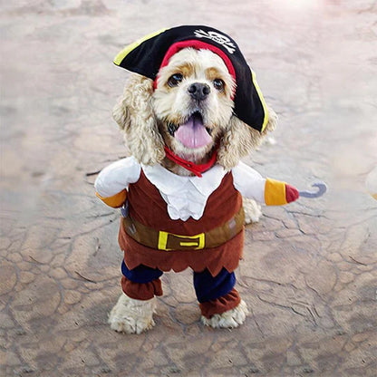 Creative Costumes for Pets