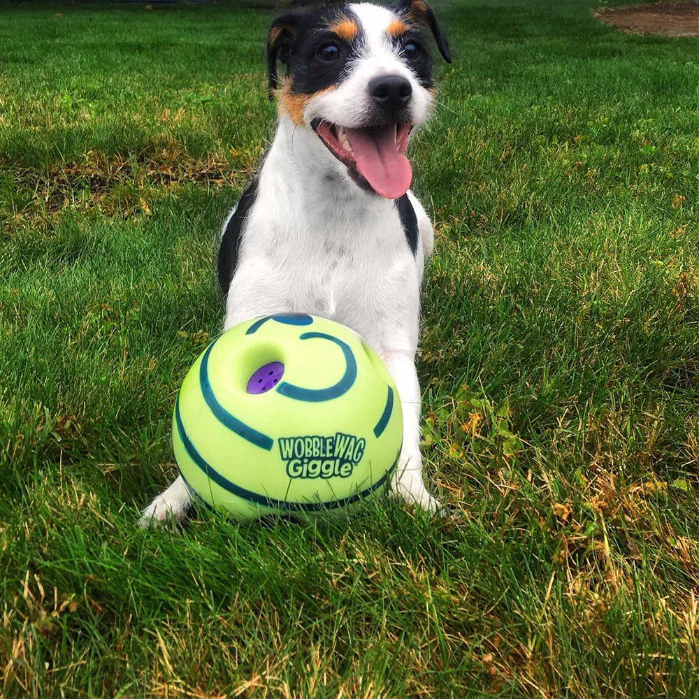 Creative Play Ball for Dogs with Interactive Functions