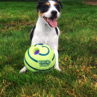 Creative Play Ball for Dogs with Interactive Functions