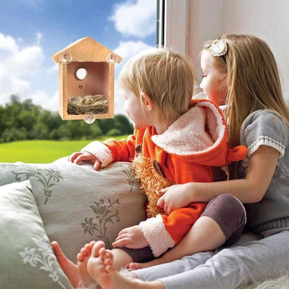 Window Bird House with Suction Cups