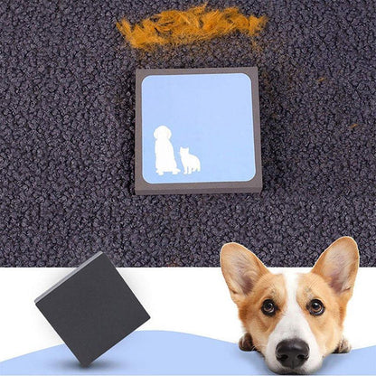 Pet Hair Removal Sponge for Furniture and Car