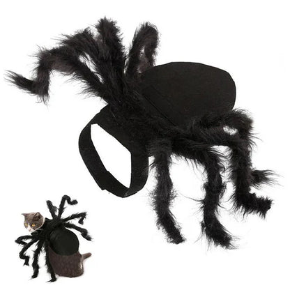 Scary Spider Costume for Pets