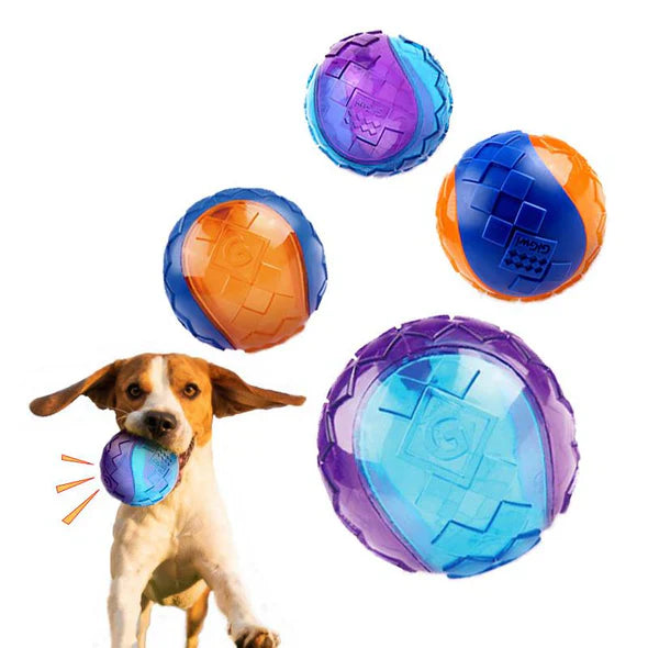 Long-Lasting Chew Ball for Dogs