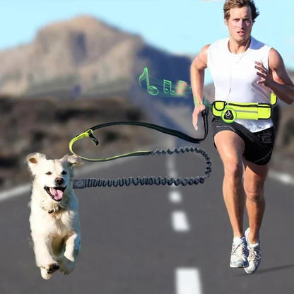 Hands-Free Leash with Belt for Dogs