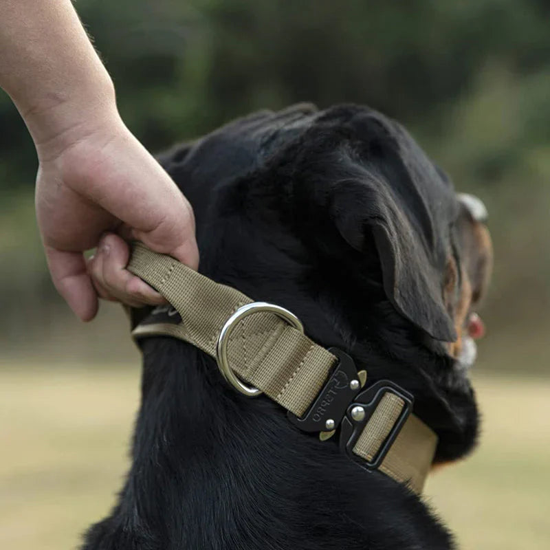 Practical Dog Collar with Handle for Better Control