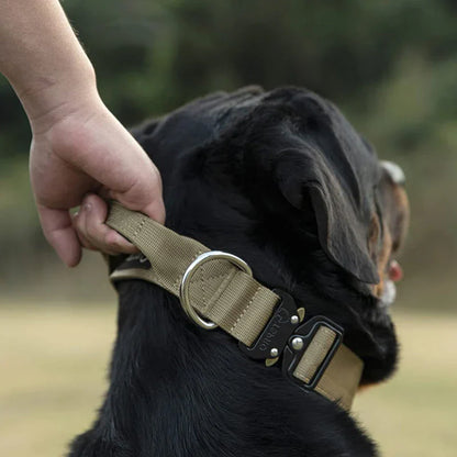 Practical Dog Collar with Handle for Better Control