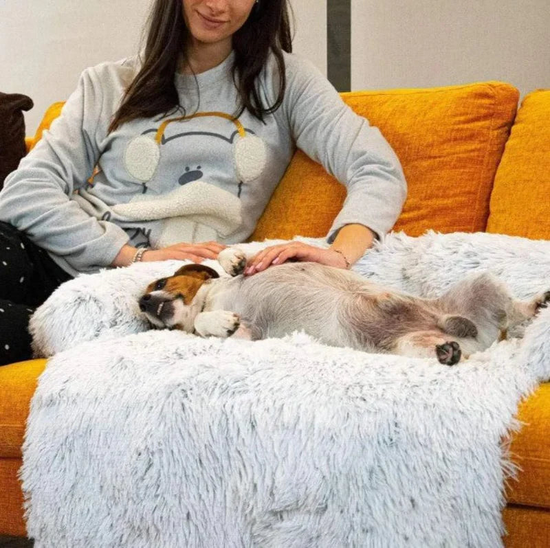 Luxurious Dog Sofa