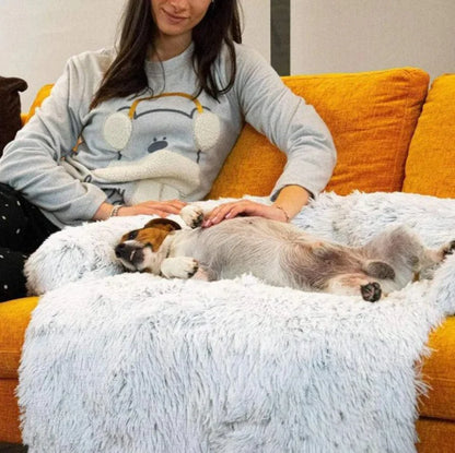 Luxurious Dog Sofa