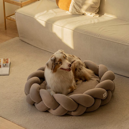 Luxury Dog Bed