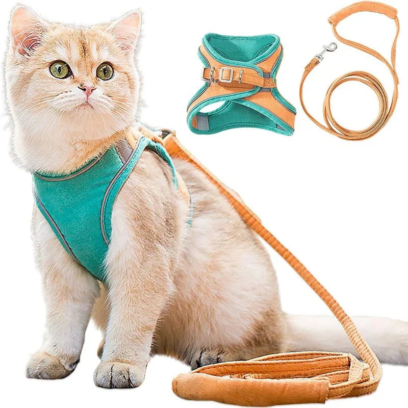 Cute Cat Harness