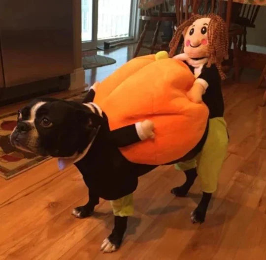 Halloween Pumpkin Costume for Dogs