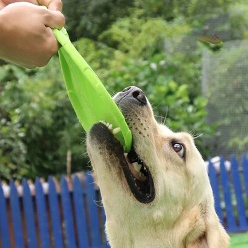 Dog Frisbee Toys - Durable Disc for Active Play