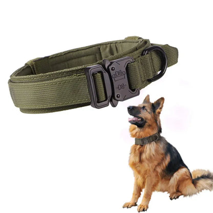Adjustable Nylon Dog Collar with Strong Click Closure