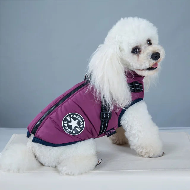 Windproof and Waterproof Dog Jacket with Integrated Harness