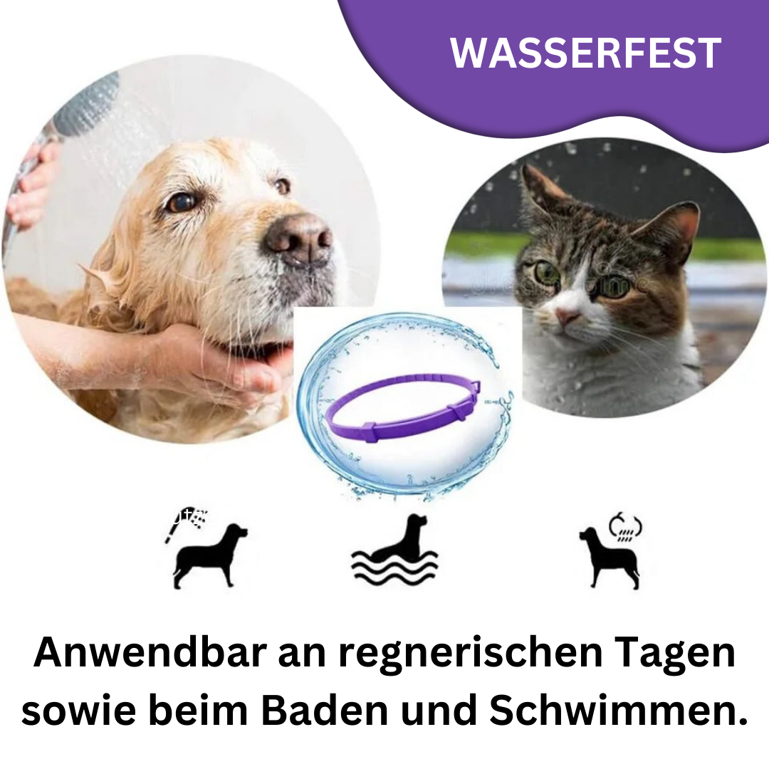 Calming Pheromone Collar